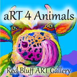 Art For Animals