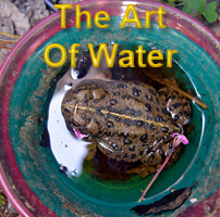 Art 4 Water Exhibit